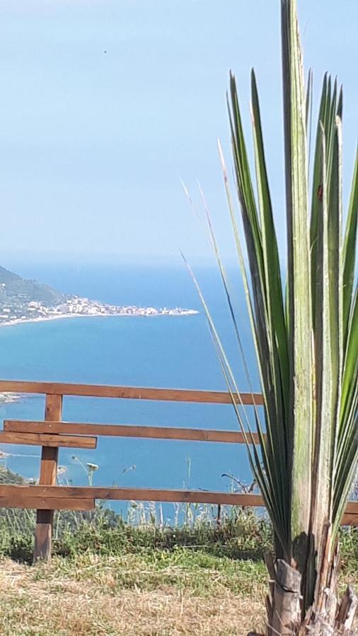 Tenuta Belvedere Cilento Montecorice Exteriér fotografie