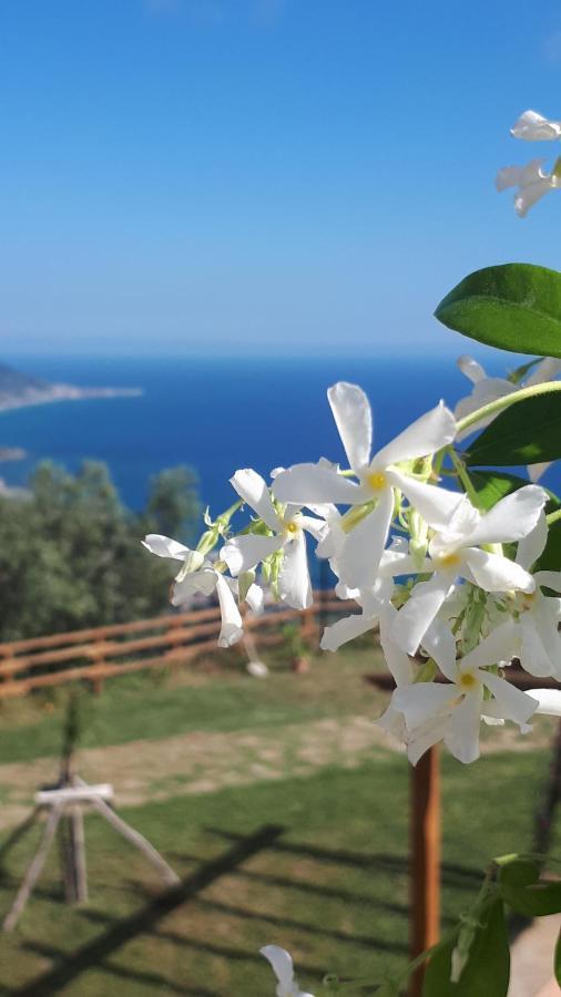 Tenuta Belvedere Cilento Montecorice Exteriér fotografie