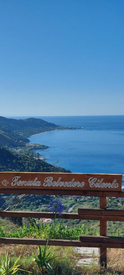 Tenuta Belvedere Cilento Montecorice Exteriér fotografie