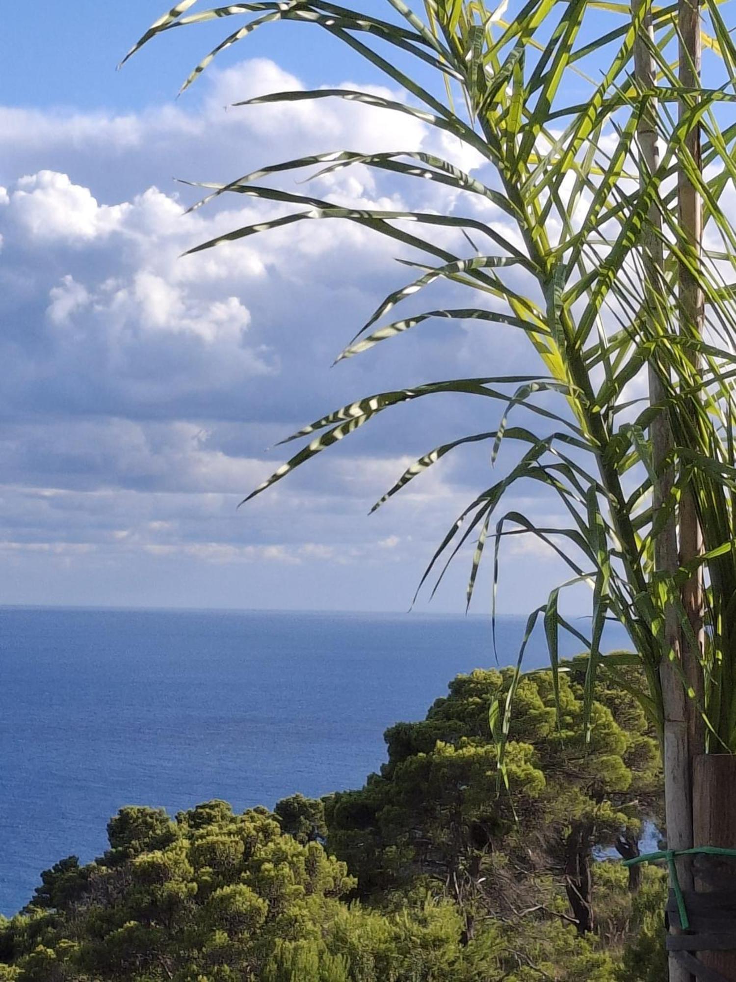 Tenuta Belvedere Cilento Montecorice Exteriér fotografie